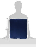 Easy Air Seat Cushion